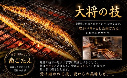 【定期便6回】70年継ぎ足しの秘伝のたれ！初音の厳選高知県産うなぎ蒲焼き1尾＿国産 ウナギ 鰻 うなぎ 蒲焼き 秘伝のタレ 土用の丑の日