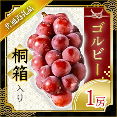 【ふるさと納税】【2025年9月より順次発送予定】ゴルビー　桐箱入り1房(県内共通返礼品:かすみがうら市産)【配送不可地域：離島・沖縄県】 (BR067)