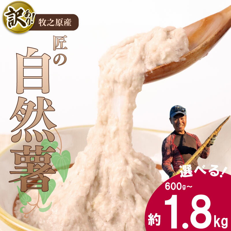 【ふるさと納税】 自然薯 個包装 自然薯 600g ~ 1.8kg ひげ根処理済み 洗ってすぐに食べられる 訳あり じねんじょ 山芋 ヤマイモ 山いも とろろ とろろ汁 国産 とろろごはん 訳アリ プレゼント 小分け 個包装 食べきり 産地直送 農家直送 たくみファーム 静岡県 牧之原市