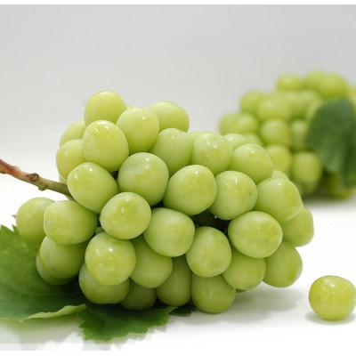 ふるさと納税 観音寺市 【発送月固定定期便】観音寺市フルーツ定期便全6回 |  | 02