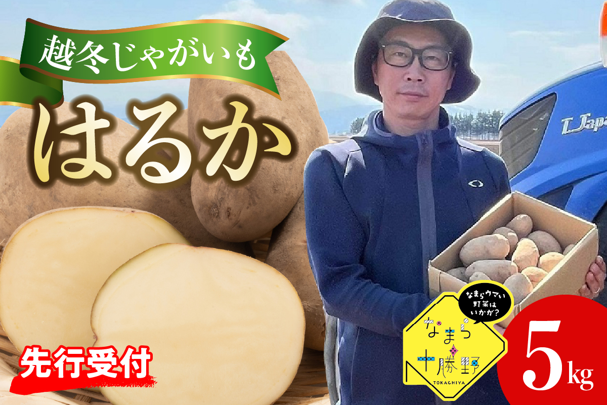 【先行受付】【2026年4月より順次発送】北海道十勝芽室町　なまら十勝野　越冬じゃがいも　はるか　5kg　me001-028c