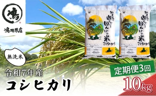 令和7年 3ヶ月定期便　コシヒカリ　無洗米　10kg（5kg×2）【定期便 お米  粘り甘み】 精米 粘りつやつや 美味しい 新鮮  [№5346-0193]