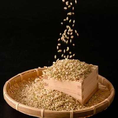 ふるさと納税 南阿蘇村 熊本県南阿蘇村産 令和7年産 特別栽培米 いのちの壱(玄米) 計10kg(5kg×2)【虹色のかば】 |  | 02