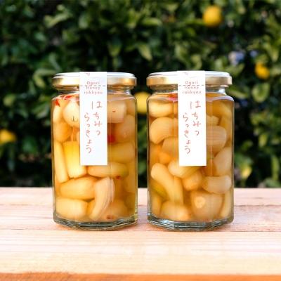 ふるさと納税 小郡市 はちみつらっきょう 300g×2本 国産天然はちみつ漬け[No5354-0309]