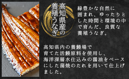 【国産】定期便 うなぎ 蒲焼き 約200g １尾 3回 【 うなぎ 定期便 国産 うなぎ 定期便 かばやき うなぎ 定期便 惣菜 うなぎ 定期便 】 Wfb-0046