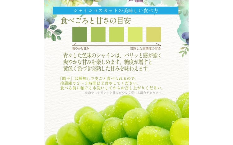 2026年 先行予約受付中 シャインマスカット晴王 1房 約550g 岡山県産 種無し 皮ごと食べる みずみずしい 甘い フレッシュ 瀬戸内 晴れの国 おかやま 果物大国 ハレノフルーツ