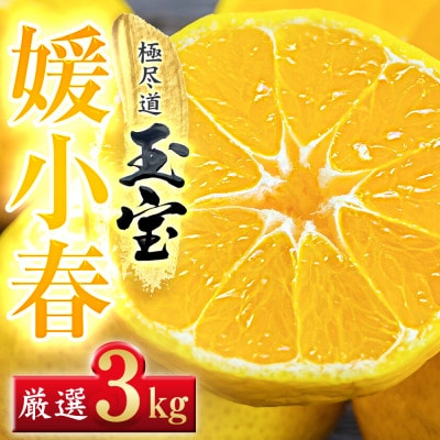 【愛媛名産】玉宝媛小春(ひめこはる)　3kg【E64−86】【1623969】