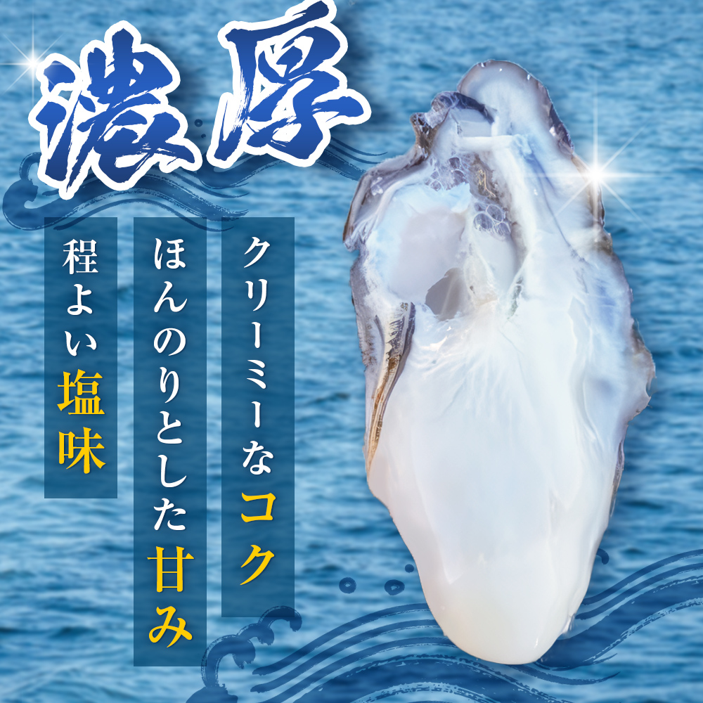 牡蠣 訳あり 宮城県産 無選別 3kg 加熱用 真牡蠣 かき カキ 貝 貝類 海産物 魚介類 海鮮 冷凍 宮城県 宮城 石巻市 石巻