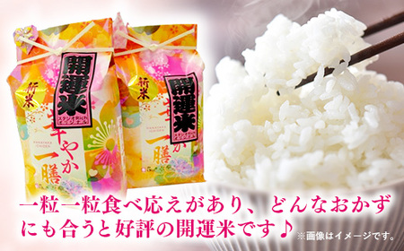 【無洗米】先行受付 令和7年産 開運米 コシヒカリ（減農薬）幸手産 - 5kg×1袋 ５kg 先行 予約 新米 新米予約 先行予約 2025年発送 こしひかり 福祉 応援 安心 安全 埼玉県 幸手市 