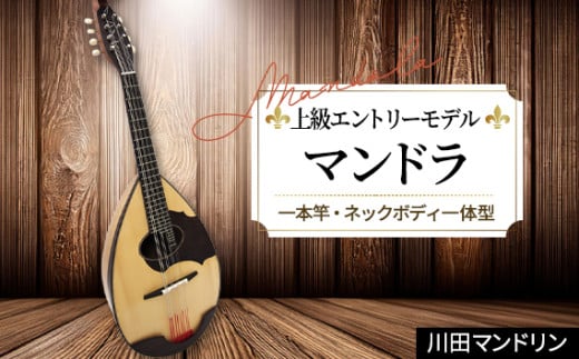 【上級エントリーモデル】マンドラ [No.291] ／ 楽器 岐阜県 特産品