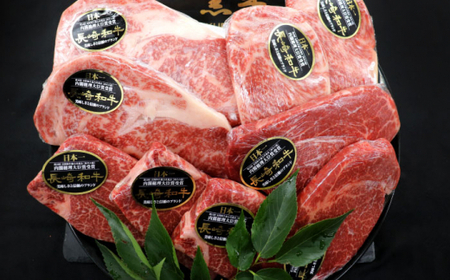 【全12回定期便】「希少部位 食べ比べ 」長崎和牛 贅沢3種の ステーキ Bセット 計13.2kg (約1.1kg/回)【黒牛】[QBD064]