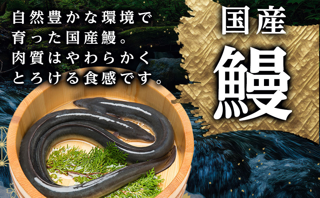 職人手焼きの本格うなぎ蒲焼き5尾_32-33-003-5