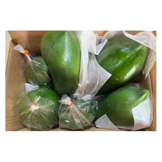 JJ001　宮古島産青パパイヤ（3kg）