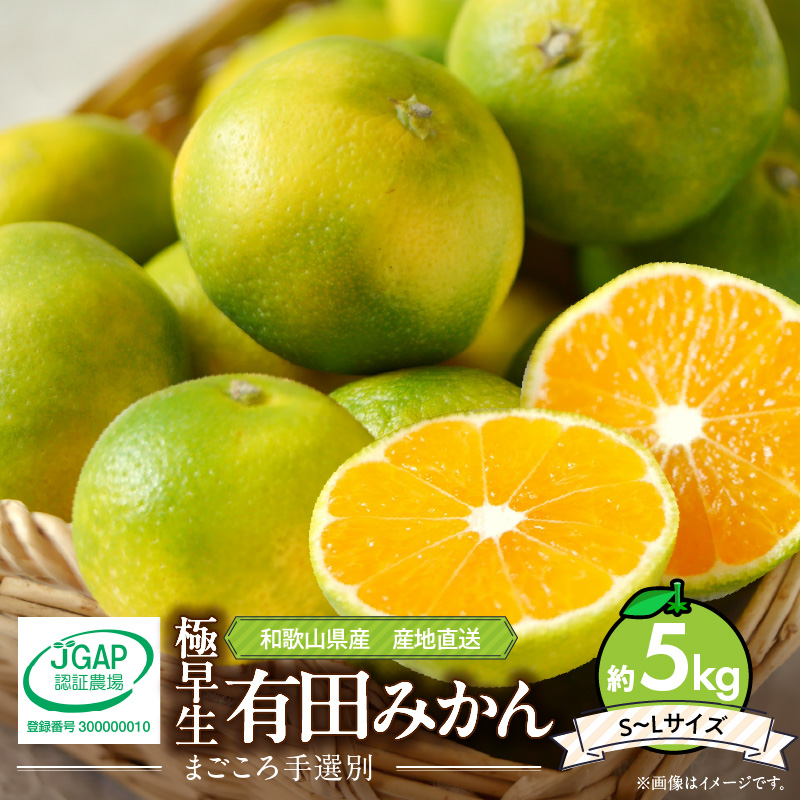 【2026年先行予約】和歌山県産 有田みかん (極早生) 約5kg (S～Lサイズ)【サイズおまかせ】【まごころ手選別】_ZE6036n