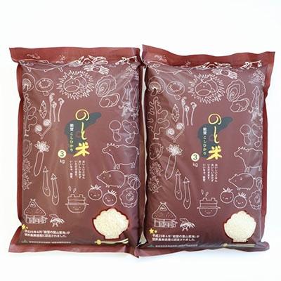 ふるさと納税 七尾市 【令和7年産】能登米こしひかり 精米 6kg (3kg×2袋) |  | 01