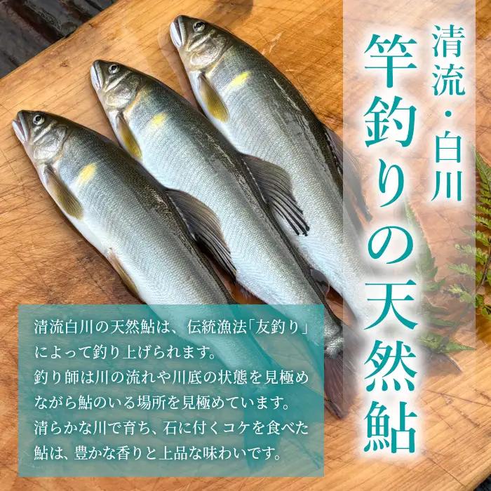 清流白川 天然鮎塩焼き 5尾 冷凍 鮎 あゆ アユ 川魚 焼き魚 炭火焼 塩焼き 清流 魚介 和食 おかず おつまみ グルメ 食品 川釣り 冷凍 急速冷凍 真空パック レンチン 簡単 お手軽 岐阜県産
