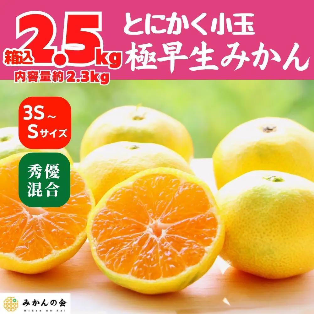 小玉みかん 極早生 箱込 2.5kg (内容量約 2.3kg)3S～Sサイズ混合 秀品 優品 混合 有田みかん 和歌山県産