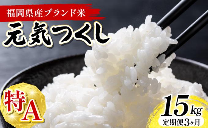【3ヶ月定期便】福岡県産米 元気つくし 15kg 令和7年産 ※北海道・沖縄・離島は配送不可【精米 7年産 国産 福岡県産 お米 ブランド米 15kg げんきつくし】CY013sub3