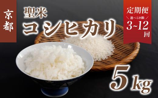 
            《選べるお届け回数》【定期便】京都府産 コシヒカリ「聖米」白米5kg 令和7年度産 （ 3回 / 6回 / 12回 ）【 お米 米 白米 精米 こしひかり 国産 選べる 定期便 毎月発送 京都 綾部 】
          