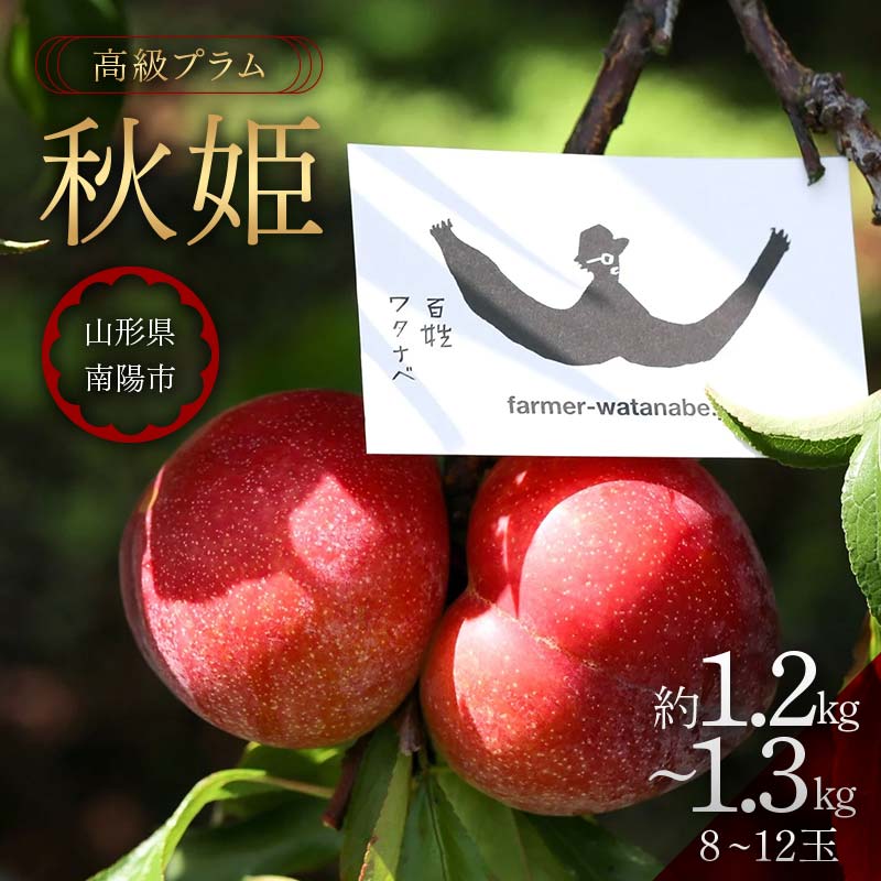 【ふるさと納税】 【令和8年産先行予約】 高級プラム ｢秋姫｣ 約1.2～1.3kg (8～12玉) 《令和8年9月～発送》 『最上園』 山形県 南陽市 [685-R8]
