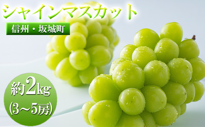 宮原農園のシャインマスカット　約2kg (3～5房)