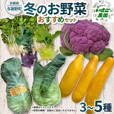 ふるさと納税 与謝野町 【2027年1月中旬以降順次発送】冬のお野菜 おすすめセット(3〜5種)【京都府与謝野町】