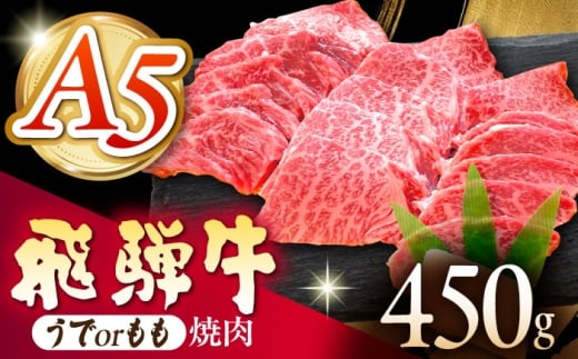 《冷蔵》 【A5等級】 飛騨牛 うでorもも 焼肉 450g 多治見市 / 肉の沖村 A5 牛肉 ギフト 贈り物 [THI017]