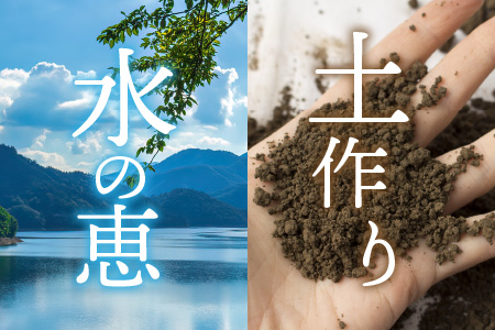 【先行予約】【令和6年産 新米】越前大野産 エコファーマー認定農家栽培 コシヒカリ10kg（白米）[A-001035]