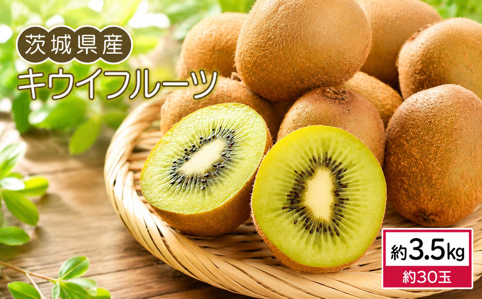 
                  【先行予約】 キウイフルーツ 3.5kg （約 30玉）| キウイ きうい 果物 くだもの 甘い フルーツ 旬のフルーツ デザート スイーツ fruit 果実 果肉 2026年産 先行予約 産地直送 数量限定 茨城県産 関東 茨城 筑西  
                