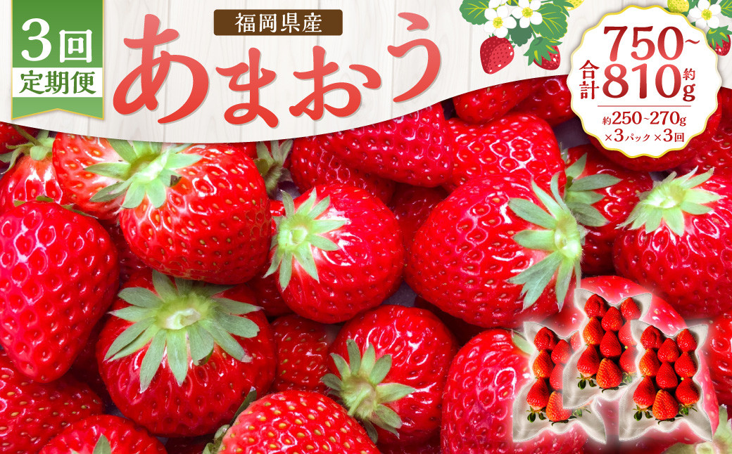 
【3回定期便】あまおう 3パック あまおう いちご イチゴ 苺 果物 くだもの フルーツ【2025年1月下旬～3月下旬発送予定】
