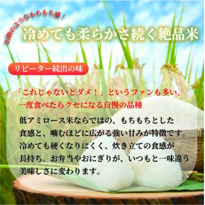 【令和8年産】ミルキープリンセス 5kg【1778364】