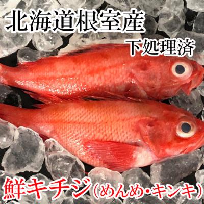 ふるさと納税 根室市 ＜12/21まで年内配送＞★キチジ(キンキ・めんめ)×3〜5尾(下処理済) C-36070