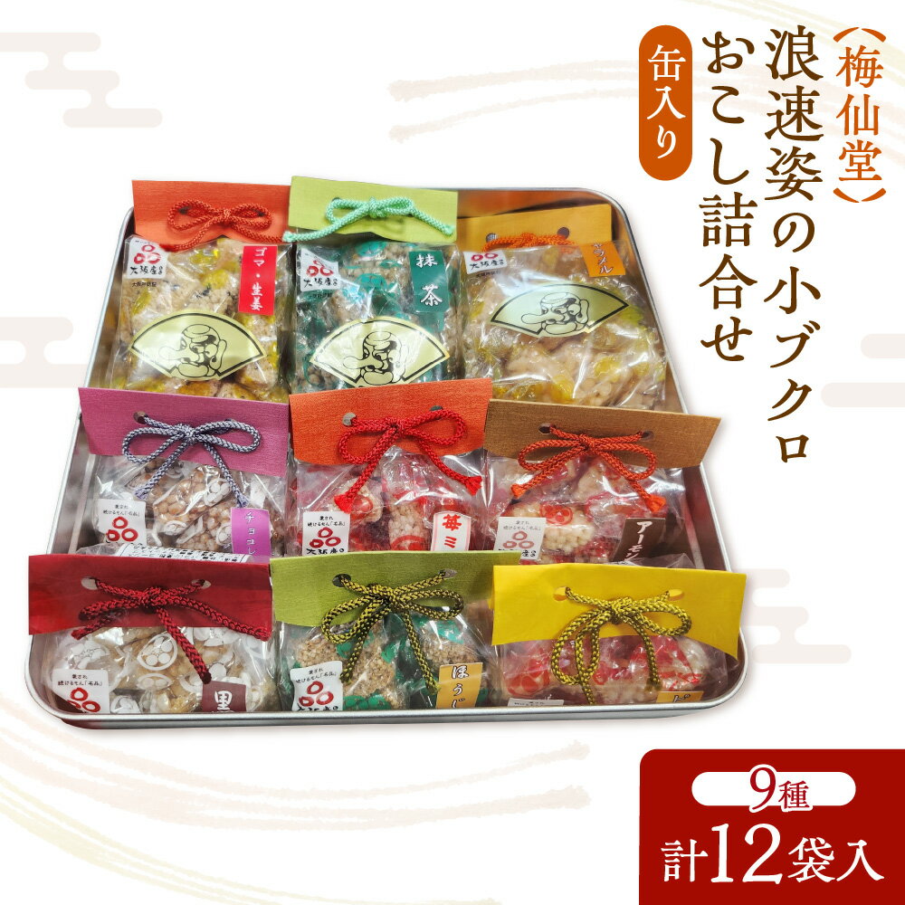 【ふるさと納税】【近鉄百貨店】梅仙堂 浪速姿の小ブクロおこし 詰合せ 12個入 缶入り 和菓子 小粒 食べやすい 大阪 おこし 菓子 ギフト 贈答 お菓子 詰め合わせ 送料無料 大阪市 大阪府