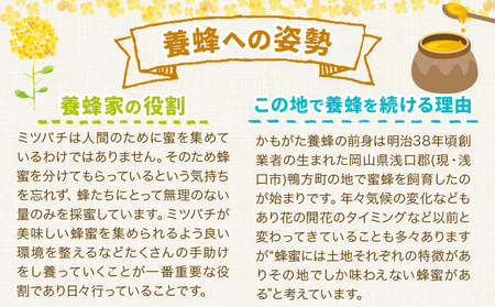 はちみつ 蜂蜜 百花 1.2kg 3本 選べる内容量 かもがた養蜂 《90日以内に出荷予定(土日祝除く)》 岡山県 浅口市 送料無料 ハチミツ 百花蜜 百花はちみつ 岡山県産