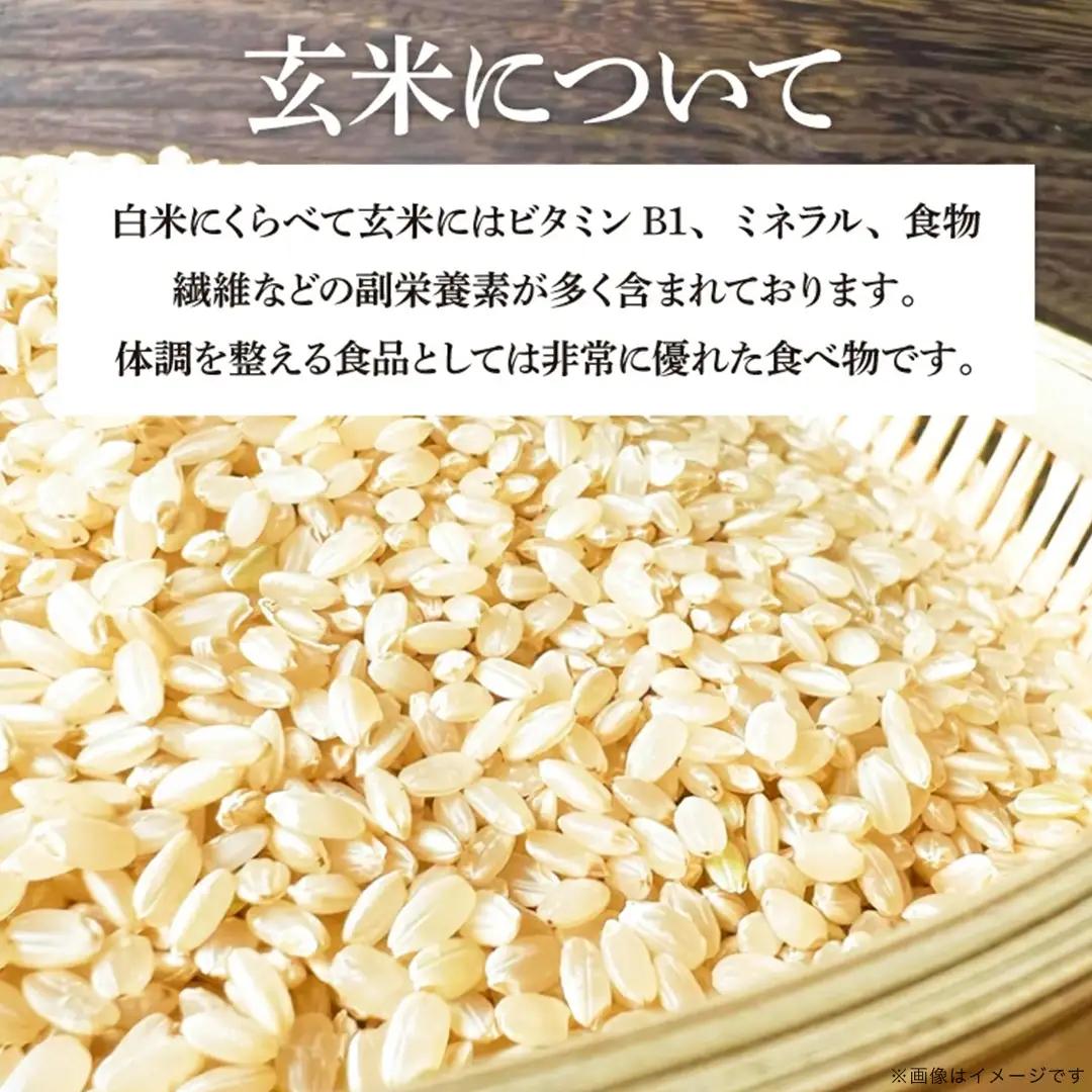 【生産者応援】 完熟あさ陽米 (玄米) 20kg (5kg×4) ひとめぼれ 特別栽培米 令和7年産 生産農家直送 (CP033)