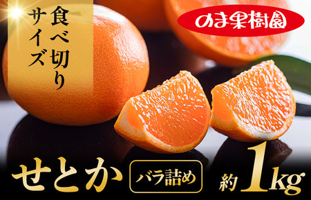 せとか家庭用（1kg） [K003710K1] 人気商品 国産 高級フルーツ 人気商品 みかん 柑橘 フルーツ 果物 乃万青果 のま果樹園 せとか 高級柑橘