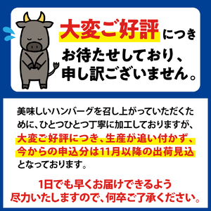 湯せんで温めるだけ！山形県産牛肉ハンバーグ2.64kg（110g×24個入り）　（山形県 河北町 山形県産 大好評 牛100％ 大人気 おすすめ ジューシー ふっくら アレンジ 色々 便利 簡単 洋食