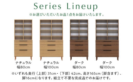 オープンボード Salute サルテ 幅100cm DK ダーク ブラウン 家具 収納 書棚 本棚 完成品 【北海道・東北・沖縄・離島不可】CN019-DK