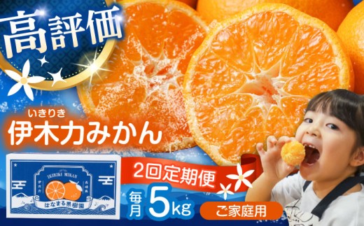 【2回定期便】※【2026年11月上旬より順次発送／先行予約】伊木力みかん(家庭用) 5kg / みかん ミカン 蜜柑 柑橘 フルーツ ふるーつ 果物 くだもの / 諫早市 / 山野果樹園 [AHCF008]