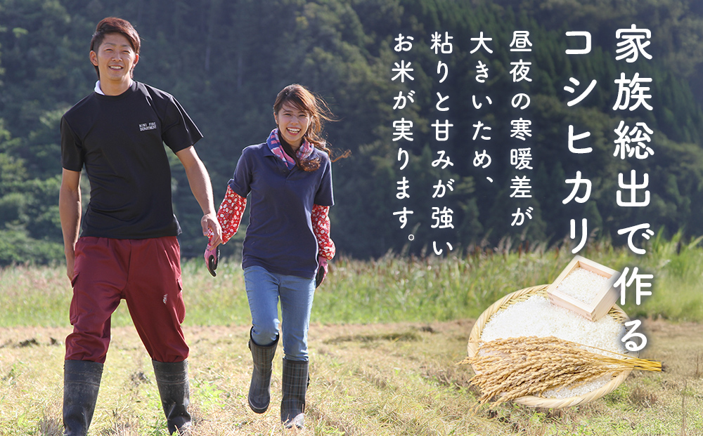 【3ヶ月定期便】コシヒカリ5kg 無洗米 富山県氷見産 ＜2025年