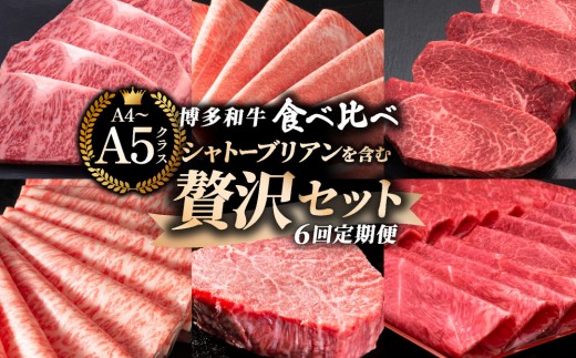 
                  ＜定期便・全6回＞【博多和牛 A4ランク 以上】シャトーブリアン含む 食べ比べ 贅沢セット｜牛肉 久田精肉店 サーロイン 肩ロース ヒレ 冷凍【HD091】
                