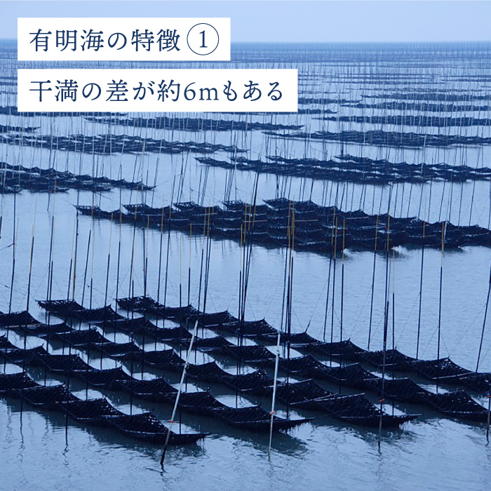 佐賀のりおかずのり4袋詰 8個入り [FBC001]