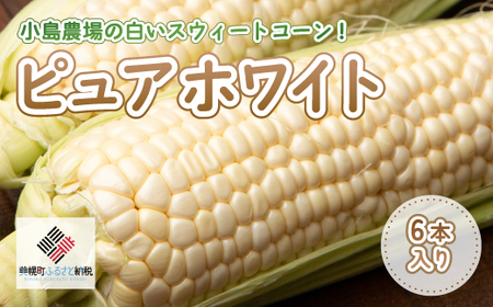 【先行予約】小島農場の白いスウィートコーン！ピュアホワイト6本入り【配送不可地域：離島・沖縄県】（2026年7月上旬より順次発送） BHRG013 | ピュアホワイト