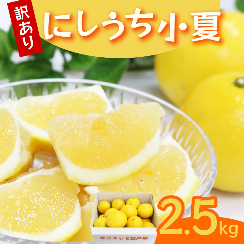 訳あり 小夏 2.5kg 柑橘 フルーツ 果物 期間限定 旬の果物 ご家庭用 生産者 農家 直送 5000 円 高知県 室戸市