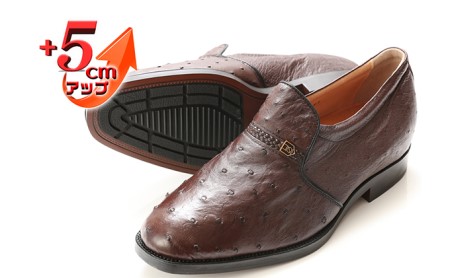 オーストリッチ革 ビジネスシューズ 紳士靴 スリッポン 5cmアップ 4E ワイド No.65 ブラウン 23.5cm
