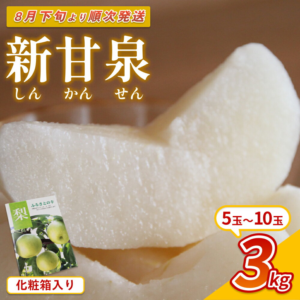 【ふるさと納税】【先行予約】中野農園 梨 ”新甘泉” 3kg 化粧箱入り｜鳥取 岩美 梨 なし ナシ 赤梨 果物 フルーツ ※お届けは2026年8月下旬頃～【41077】