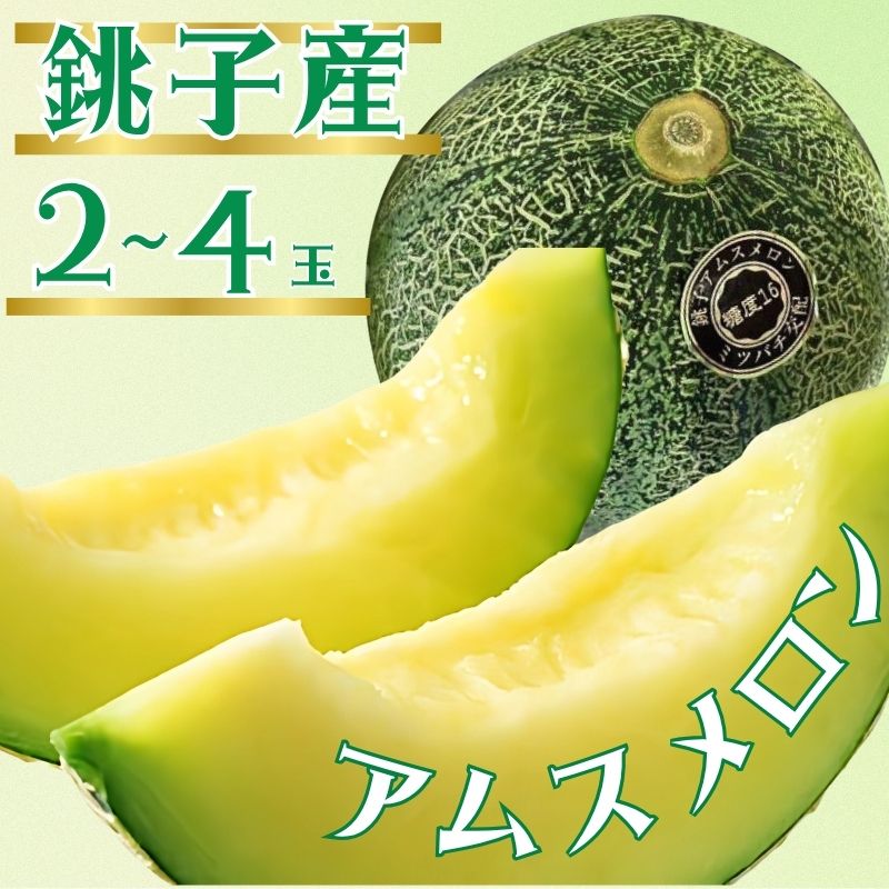 【ふるさと納税】 銚子産 アムスメロン 【選べる容量】2玉 ～4玉 メロン 青肉 果物 とろ甘16 高糖度 フルーツ ギフト プレゼント 贈答 お取り寄せ デザート ゼリー ジュース 期間限定 ふるさと納税 送料無料 千葉県 銚子市 弥兵衛 【6月下旬〜7月中旬発送】