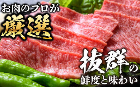 【全6回定期便】おおいた豊後牛 赤身モモ 焼肉用 500g 日田市 / 株式会社MEAT PLUS　牛 うし 黒毛和牛 和牛 豊後牛[AREI093]