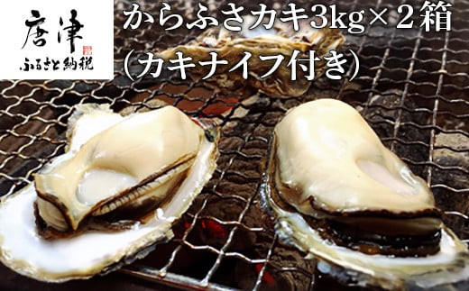 
                  『予約受付』【令和8年3月上旬発送】佐賀県唐津市唐房産 からふさカキ3kg×2箱 (カキナイフ付き) レシピ 牡蠣 貝 BBQ アウトドア
                
