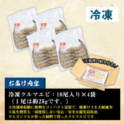 ふるさと納税 いちき串木野市 鹿児島県産!冷凍クルマエビ 1000g 10尾(25g/尾)×4袋!活き車海老を急速冷凍しました♪ |  | 01